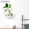 Exceotional Quality - ECHIDNA Flower Planter Pot Water Drop Wall Hanging Glass Flower Vase - Sustainable Option - Expression of Yourself.