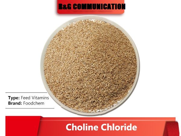 Choline%20chloride%20yellow%20brownish%20dry%20flowable%20Powder%20Poultry%20layers%20&%20broilers%20all%20bird%20and%20animal%20Feed%20for%20reduce%20poultry%20fat%20treat%20fatty%20liver%20disease%20and%20liver%20cirrhosis,%20also%20used%20as%20livestock%20feed%20additives%20-%20Image%203