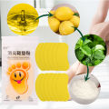 12/36pcs Shoes Deodorant Sticker Deodorant Foot Odor Deodorant Sneaker Smell Fresh Deodorant Insole Sterilization Sticker.