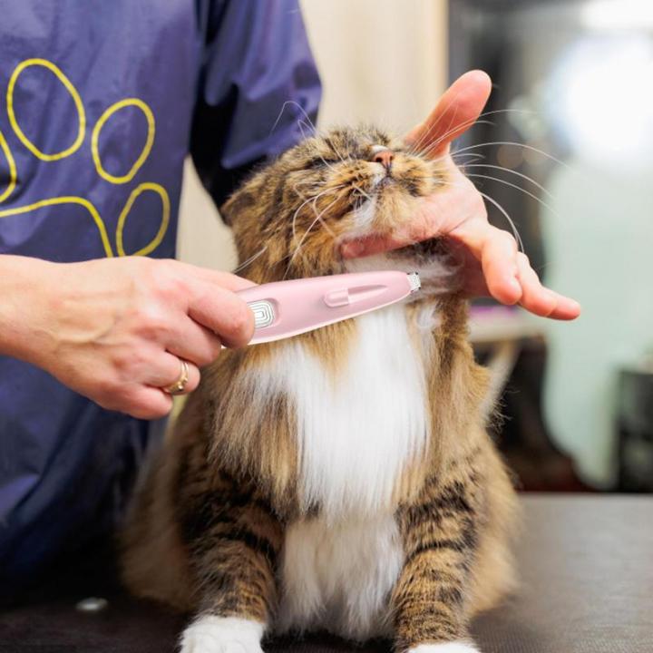Pet%20Grooming%20Kit%20LED%20Light%20Rechargeable%20Pets%20Clippers%20Dog%20Cat%20Hair%20Trimmer%20Paw%20Nail%20Grinder%20Foot%20Cutter%20Hair%20Cutting%20Machine%20-%20Image%205