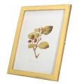 Solid Wood Rectangle Photo Picture Frame Ivory/ Wood(/ Blue/ Yellow/ Green for living room bedroom office restaurant. 