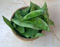 Fresh hybrid seeds flat beans (sim) 25 pice..