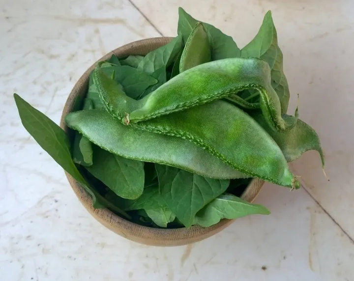 Fresh%20hybrid%20seeds%20flat%20beans%20(sim)%2025%20pice.%20-%20Image%202