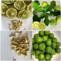 Premium Quality Kaffir Lime Seeds. 