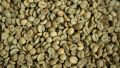 Fresh Green Coffee Beans_200.g.