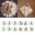 12 Pcs/Set Newborn Milestone Memorial Month Stickers Floral Baby Monthly Stickers Photography Commemorative Card.