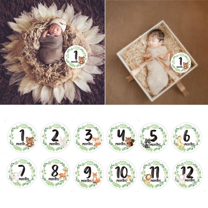 12%20Pcs/Set%20Newborn%20Milestone%20Memorial%20Month%20Stickers%20Floral%20Baby%20Monthly%20Stickers%20Photography%20Commemorative%20Card%20-%20Image%205