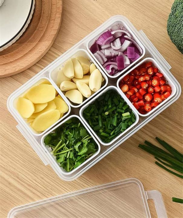 6%20Grids%20Refrigerator%20Food%20Vegetable%20Fruit%20Storage%20Box%20Kitchen%20Chopped%20Green%20Onion%20Drain%20Water%20Divided%20Container%201Pcs%20-%20Image%202