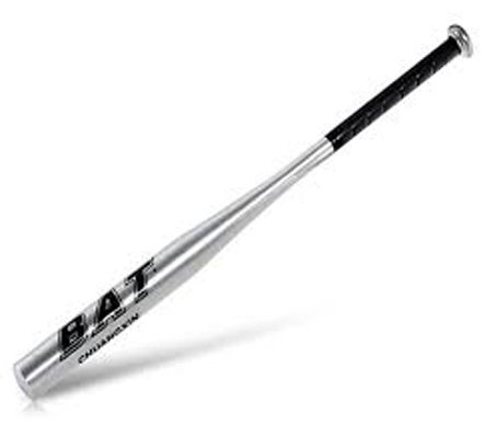 Baseball%20Bat%20-%20Silver%20-%20Image%202