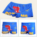 DSstyles Kids Cartoon Beach Vacation Swim Shorts Bathing Suit 2-8 Years Old. 