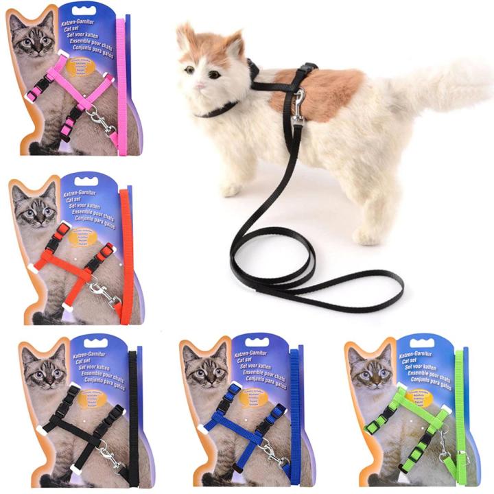 Generic Nylon Pet Cat Kitten Adjustable Harness Lead Leash Collar Belt Safety Rope Daraz .bd