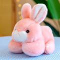 Bunny Dolls Baby Cute Pink Bunny for Children Kids. 