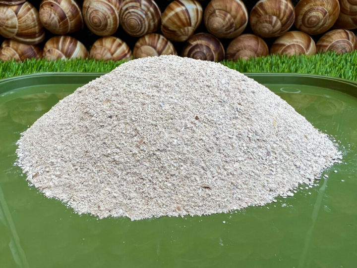 Oyster%20&%20Snail%20Powder%20-%200.5%20Kg/%2001%20KG%20Pack%20-%20%20Jhinuk%20&%20Shamuk%20Powder%20for%20Plants%20-%20%E0%A6%9D%E0%A6%BF%E0%A6%A8%E0%A7%81%E0%A6%95%20%E0%A6%93%20%E0%A6%B6%E0%A6%BE%E0%A6%AE%E0%A7%81%E0%A6%95%E0%A7%87%E0%A6%B0%20%E0%A6%97%E0%A7%81%E0%A7%9C%E0%A6%BE%20-%20Image%206