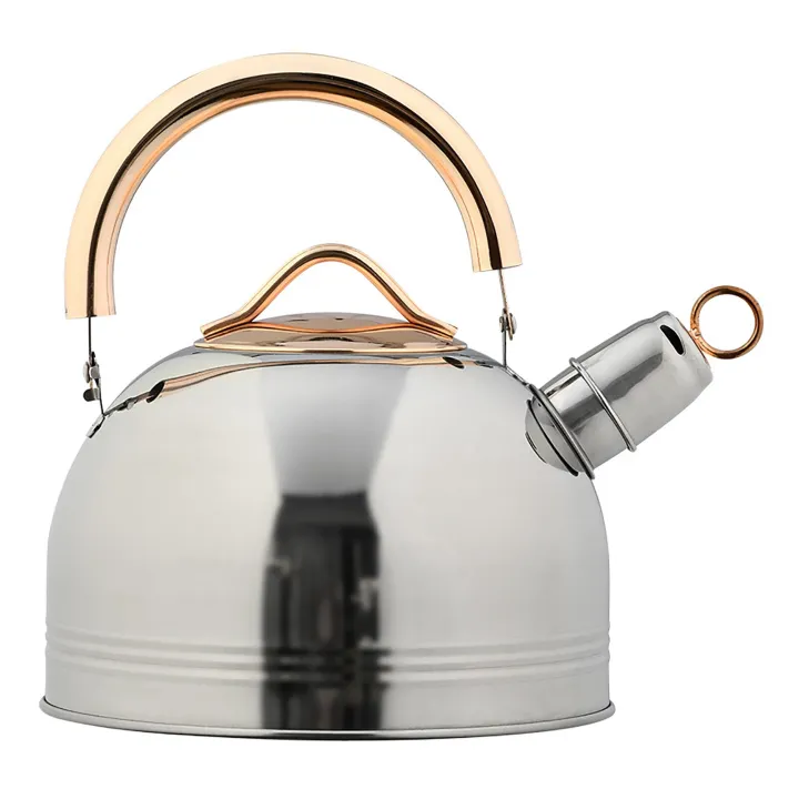 Stainless%20Steel%20Whistling%20Kettle%20Tea%20Pot%203L%20Tea%20Kettle%20With%20Ergonomic%20Handle%20Whistling%20Teapot%20For%20Induction%20Cookers%20Gas%20Stoves%20-%20Image%207