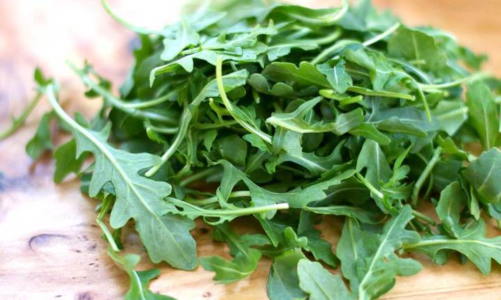Arugula%20Rocket%20Leaves%20%E0%A6%B0%E0%A6%95%E0%A7%87%E0%A6%9F%20%E0%A6%B8%E0%A6%BE%E0%A6%B2%E0%A6%BE%E0%A6%A6%20Seed/%E0%A6%AC%E0%A7%80%E0%A6%9C-%20%E0%A7%A8%E0%A7%AB%20%E0%A6%AA%E0%A6%BF%E0%A6%B8%20-%20Image%206