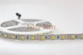 5m 12V Double Color 5050 / 5025 LED Strip DC12V Flexible Tape, CW/WW Dual White in 1 Chip Color Temperature Adjustable CCT Strip. 