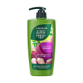 International Malaysian product Hair care item follow me Anti Hair Fall shampoo - 650 ml. 