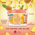 Garnier Fructis Pineapple Hair Food Treatment. 