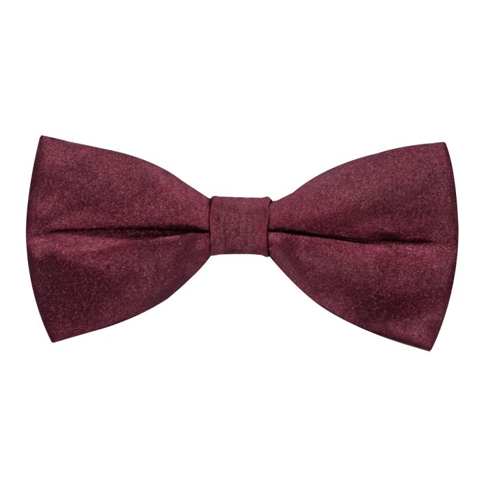 %E3%80%90Alien%20Alien%E3%80%91%20Burgundy%20Red%20Solid%20Silk%20Men%20Suit%20Vest%20Pre-tied%20Bow%20Tie%20Set%20Wedding%20Party%20Formal%20Tuxedo%20Male%20Blazer%20Waistcoat%20Business%20Party%20Vest%20-%20Image%205