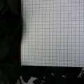 Designer Series Kraft Spiral Grid Graph Notebook. 