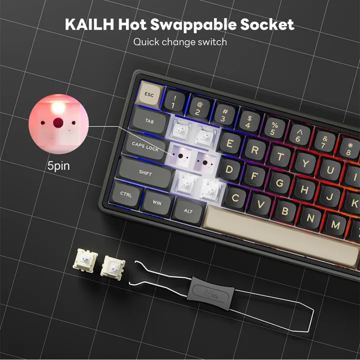 RK%20Royal%20Kludge%20R65%20Gasket%20Wired%20Mechanical%20Keyboard%2066%20Key%2065%25%20RGB%20Backlit%20Hot-swappable%20Gamer%20Keyboard%20with%20MDA%20PBT%20Keycaps%20-%20Image%205