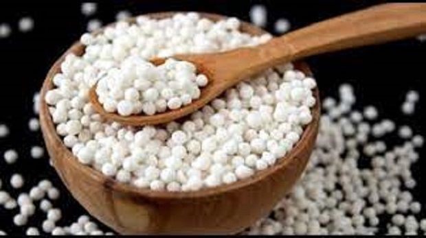 Container Sabu Sabu Dana Sabudana 500gm with Free container Jar | Daraz.com.bd