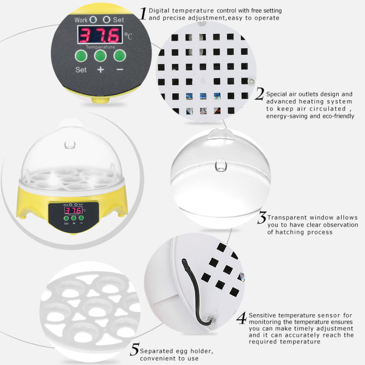 7%20Eggs%20Mini%20Digital%20Egg%20Incubator%20Hatcher%20Transparent%20Eggs%20Hatching%20Machine%20Automatic%20Temperature%20Control%20for%20Chicken%20Duck%20Bird%20Eggs%20AC110V%20-%20Image%207