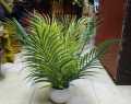 কৃত্রিম প্লাস্টিকের গাছ-গাছ সাদা - artificial flower.