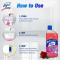 (Buy 2 Get 1 Free) Lizol Disinfectant Floor & Surface Cleaner 2 X 500ml Floral + Trix Lemon Dishwash Bar 300g Free.