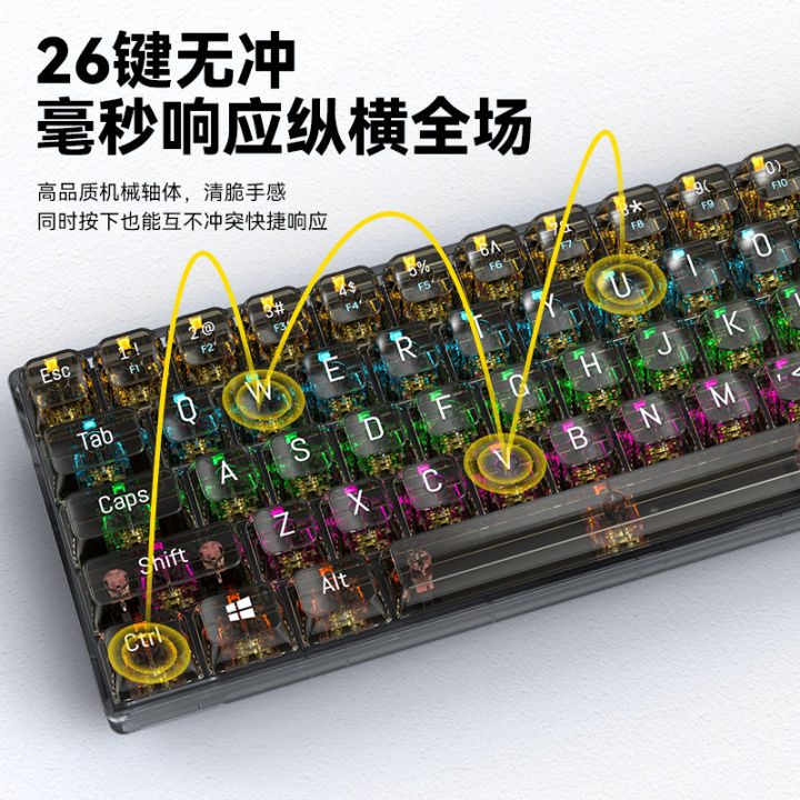 T-WOLF%20T40%20Mechanical%20Keyboard%20Transparent%20RGB%20Backlit%20Brown%20Switch,%20Red%20Switch,%20Yellow%20Switch,%2068%20Key%20Keyboard%20Key%20Line%20Separation%20-%20Image%204