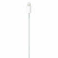 USB-C to Lightning Cable.