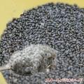 Basil Seed Tokma 1KG  তোকমা দানা. 