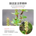 60 Pieces of Resurrection Grass Mask Collagen Good Night Gel Mask Sleeping Mask Leave-in Hydration & Firming.