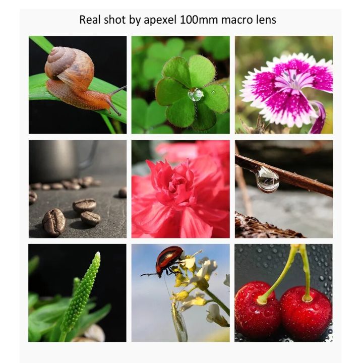 APEXEL%20100mm%20Macro%20Lens%20Camera%20Phone%20Lens%204K%20HD%20Super%20Macro%20Lenses%20CPL%20Star%20Filter%20for%20iPhonex%2013%20pro%20Samsung%20s9%20all%20smartphone%20-%20Image%204