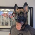 Cosplay Funny Animal Sheepdog Dog Masks German Shepherd Full Face Mask Halloween Realistic Animal Full Head Latex Headgear. 