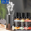 10ml Water Soluble Essential Aromatherapy Perfume Oil For Humidifier Diffusers. 