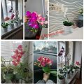 Large 3D 11/7 Heads Pvc Artificial Flower Orchid Phalaenopsis Potted Plants Landscaping Wedding Floral Arrangement Home Decor. 