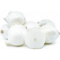 white Onion Tree seeds 50 pcs. 