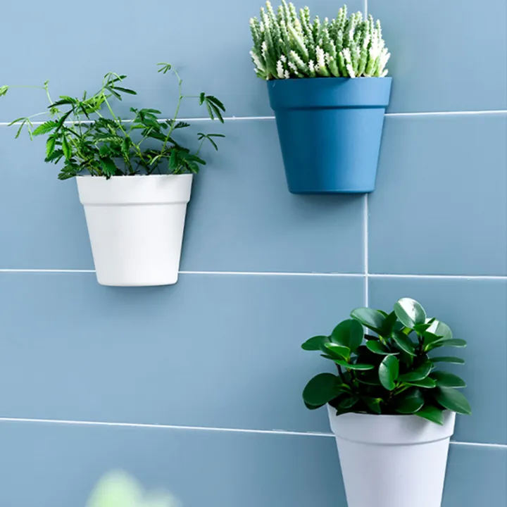 Wall%20Mounted%20Plastic%20Potted%20Plant%20Flowerpot%20Creative%20Wall%20Hanging%20Planter%20Semi%20Circular%20Small%20Flower%20Pot%20Wall%20Decoration%20Cologo%20-%20Image%207