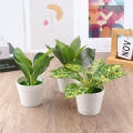 Mini Desktop Small Potted Artificial Plant Bonsai Fake Flower Desk Potted Decor Mzea. 