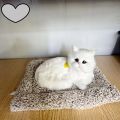 Cute cat plush toy doll Soft cat doll simulation kitten pillow. 