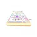 Havit KB876L USB Multi-Function Backlit Gaming Keyboard. 