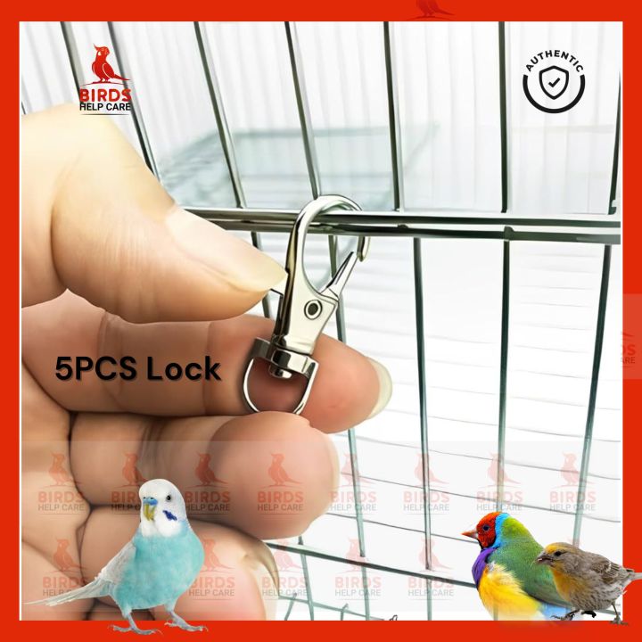 Curated visual reference: Imported Doors Locked For Any Bird Cages Made In China Photo Inspiration