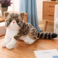 26cm Stuffed Lifelike Cats Plush Toy Simulation American Shorthair Cute Cat Doll Pet Toys Home Decor Gift For Girls Birthday. 