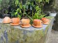 Customized Handmade Mahogany Wooden Cup - Unique and Personalized Gift for Your Loved Ones - Wooden Cup.