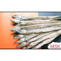 Shutki(ছুরি শুটকি) Dry Fish-1 kg. 