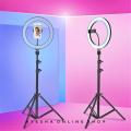 10 inch LED Ring Light With 7 feet Stand. 