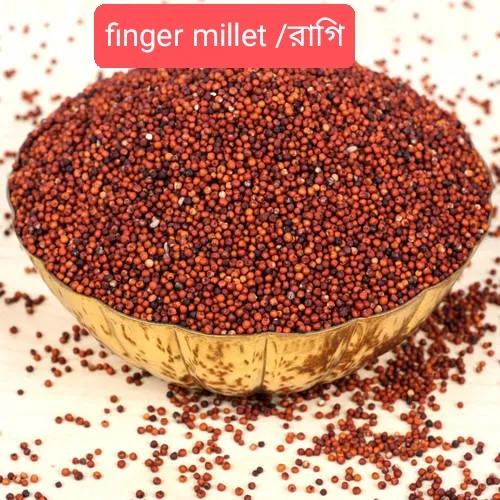 Finger%20Millet%20Ragi%201%20kg%20-%20Image%203