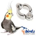 Cockatiel Bird Harness with 60 Inch Elastic & 5.5mm Anklet – Full Set Combo Pack for Pet Birds in Bangladesh (1PCS). 