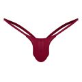 Swimwear Mens Swimsuit Bikini G-string Thong Briefs Underwear Swim Briefs Lingerie Swimming Suit Tanga Thongs Underwear.
